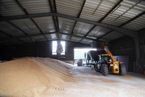 Getreidehalle mit Konservierungsanlage, © getreidekonservieren.de