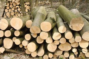 Holzstapel, © getreidekonservieren.de