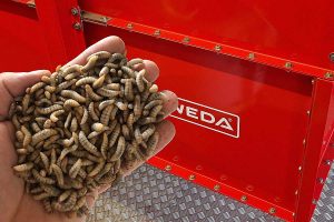 made by WEDA: Die WEDA Dammann & Westerkamp GmbH liefert die komplette Insektenfütterungsanlage für den polnischen Futtermittelhersteller HiProMine, © WEDA