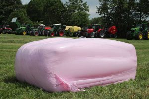 pinker Quaderballen, &copy; getreidekonservieren.de