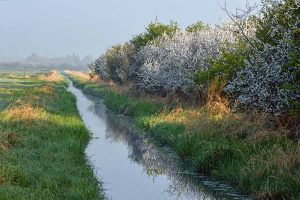 Agrarlandschaft, © NLWKN