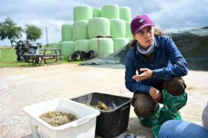 Die Ausbildungsverordnung für Landwirtinnen und Landwirte wurde angepasst, &copy; Andreas Teichler